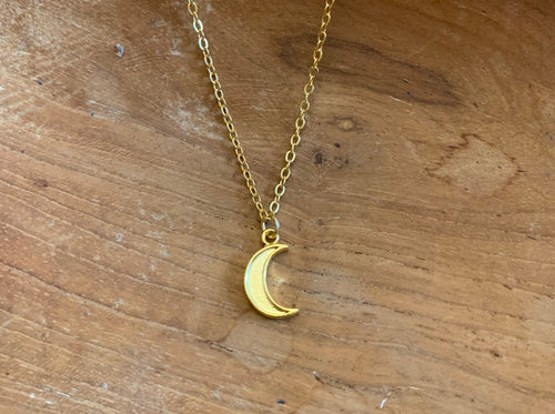 Pressed Moon Necklace